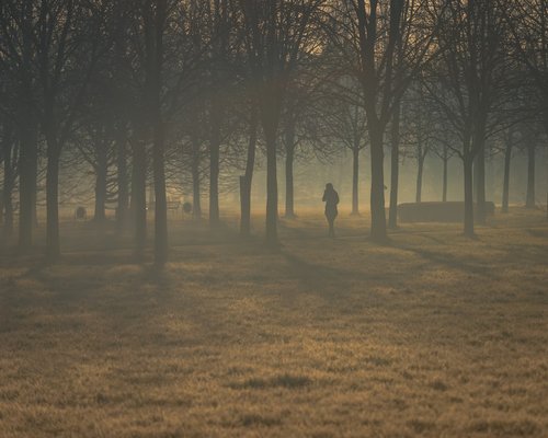 Person jogging outdoors in a park during morning
